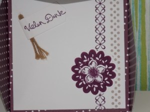 Umschlag Brombeer Nah