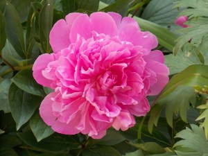 Last Import - 1 von 17