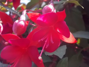 Last Import - 13 von 17