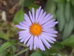 Last Import - 15 von 17