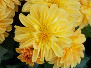 Last Import - 16 von 17