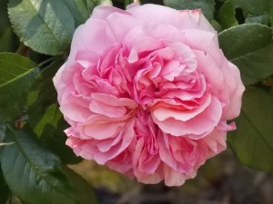 Last Import - 2 von 17