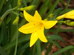 Last Import - 5 von 17