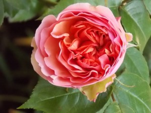 Last Import - 8 von 17