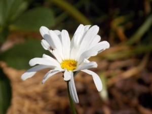 Last Import - 9 von 17