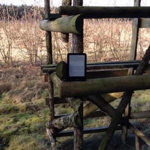 2018-03-14 Waldspaziergang mit Jesus 2