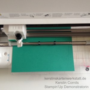 Mit der Silhouette Cameo 2 habe ich kleine Boxen in den InColour Farben 2016-2018 von Stampin Up gestaltet. Als Stempelset habe ich Hedgehugs gewählt.