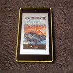 Rezension zum Ebook Höhenrauschsaison von Meredith WInter