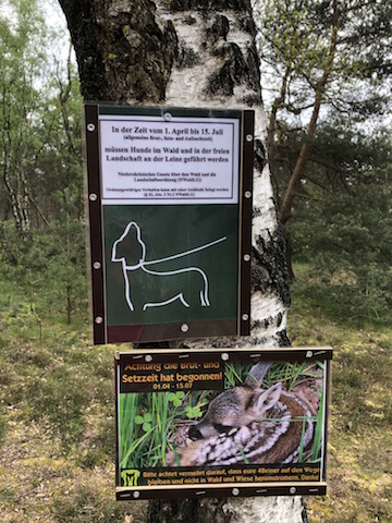 Schild zur Leinenpflicht im Wald