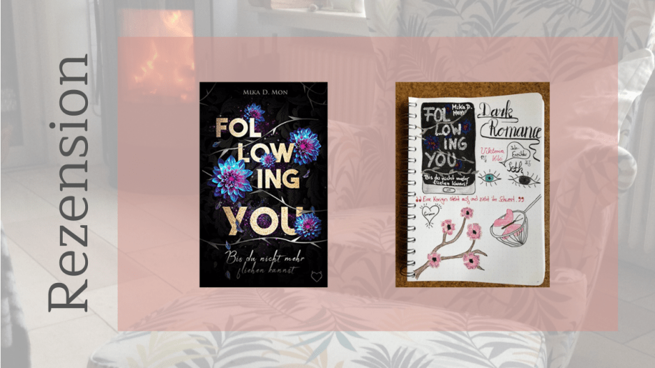 Following You Bis du nicht mehr fliehen kannst von Mika D. Mon Sketchnote zum Buch