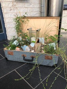 Koffer für den Garten mit Bewuchs von Anja Feuersenger
