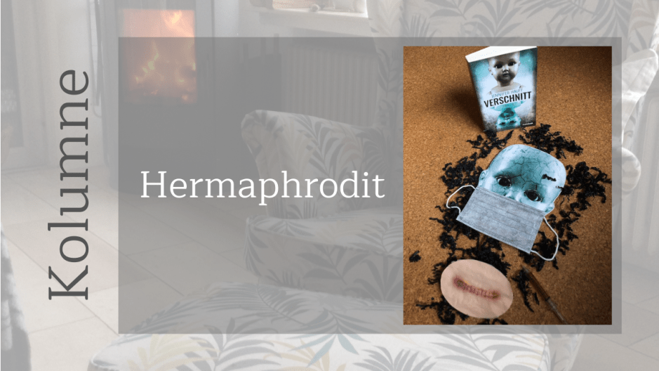 Kolumne_ Hermaphrodit