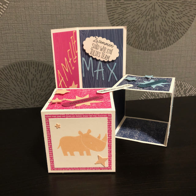 Triple Pop Up Cube Card für Zwillinge. Die Karte ist in Pink und Blau gebastelt. Die Seite für Amelie ist pink mit Sternen und einem Nashorn und die Seite für Max ist blau mit Sternen und einem Elefanten. 