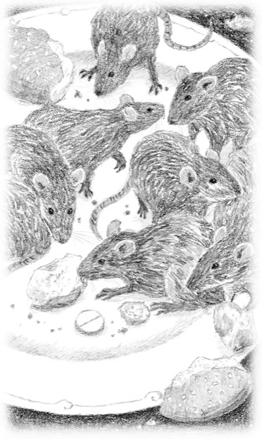 Bleistift Zeichnung von Ratten auf einem Teller.