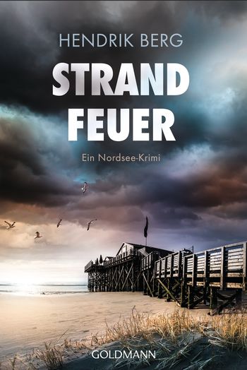 Strandfeuer von Hendrik Berg Cover