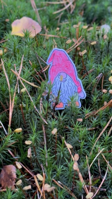 Ein Wichtel im Wald zum Kinderbuch: Der kleine Wichtel Toke von Sylvie Gürtler