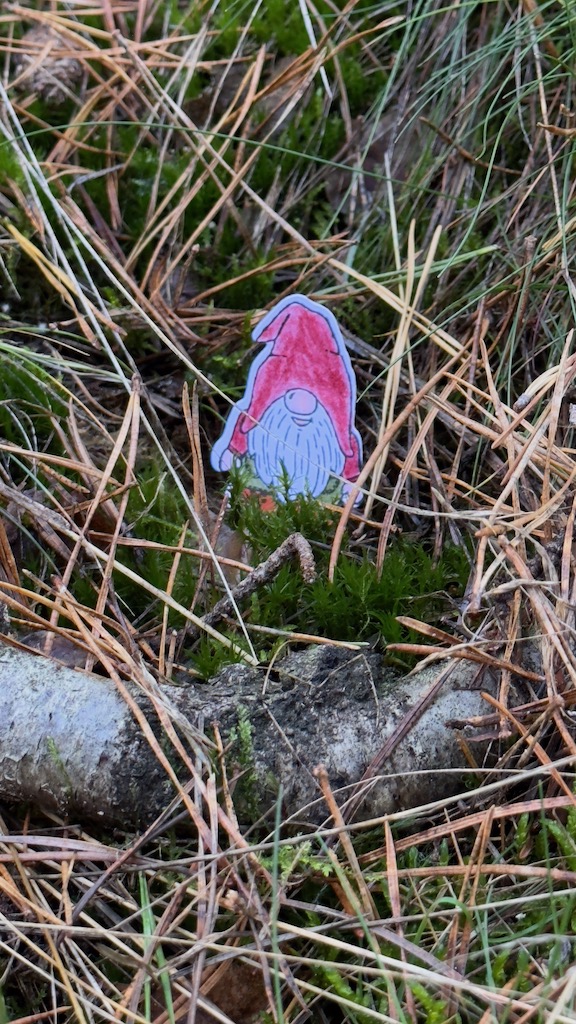 Ein Wichtel im Wald zum Kinderbuch: Der kleine Wichtel Toke von Sylvie Gürtler