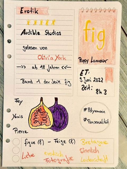 Sketchnotes zur Rezension von Erotik Roman: fig von Poppy Lamour erschienen bei Audible und gelesen von Olivia York