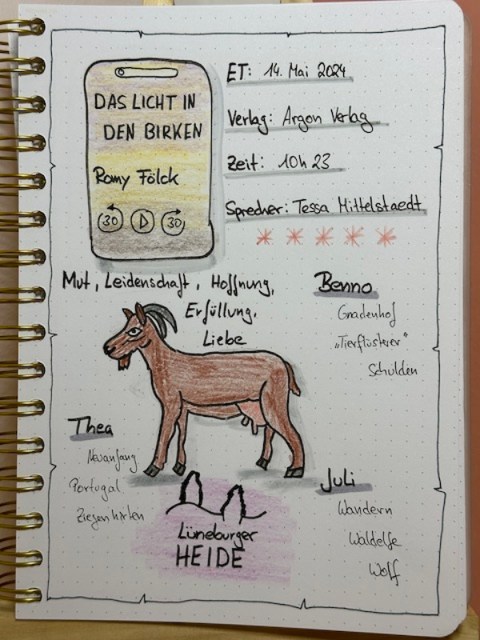 Lesetagebuch mit Sketchnotes zur Rezension vom Hörbuch: Das Licht in den Birken von Romy Fölck erschienen im Argon Verlag. Eingelesen von Tessa Mittelstaedt