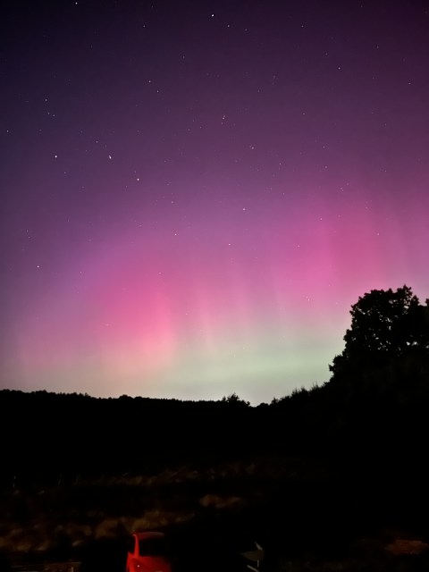 Auf dem Foto sieht man die Nordlichter über dem Wempenmoor in Damme. 