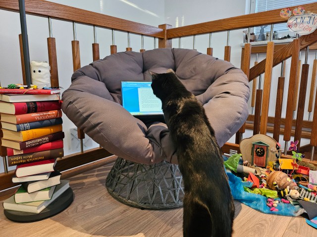 Arbeitsplatz von Stefanie Steger