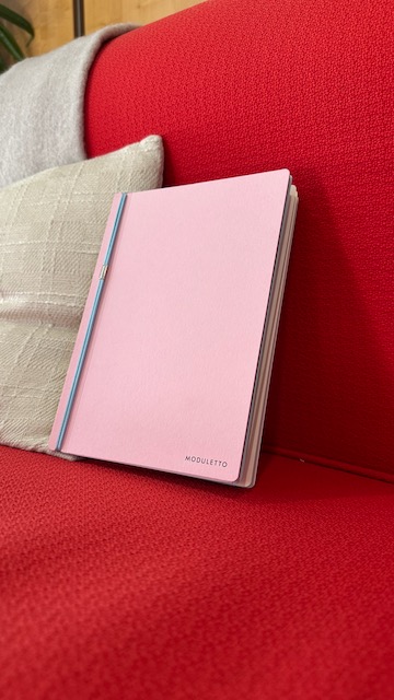 Cover von meinem Leipziger Buchmesse Comic im Moduletto