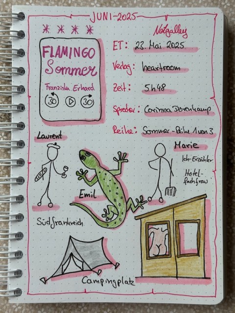 Zu sehen ist das Lesetagebuch mit Sketchnotes zur Rezension vom Hörbuch: Flamingo Sommer von Franziska Erhard erschienen im heartroom Verlag und eingelesen von Corinna Dorenkamp