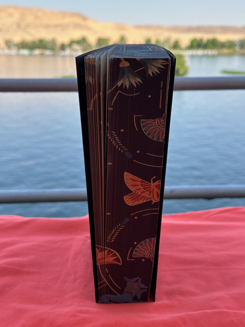 What the River Knows von Isabel Ibanez Foto auf der Nilkreuzfahrt vom Buch